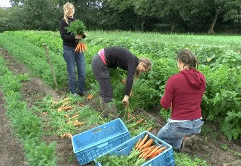 Agriculture - Saisons Champenoises
