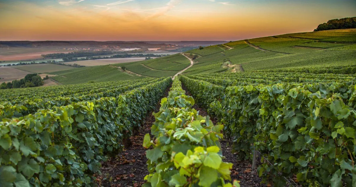 Saisons Champenoises Sécurité