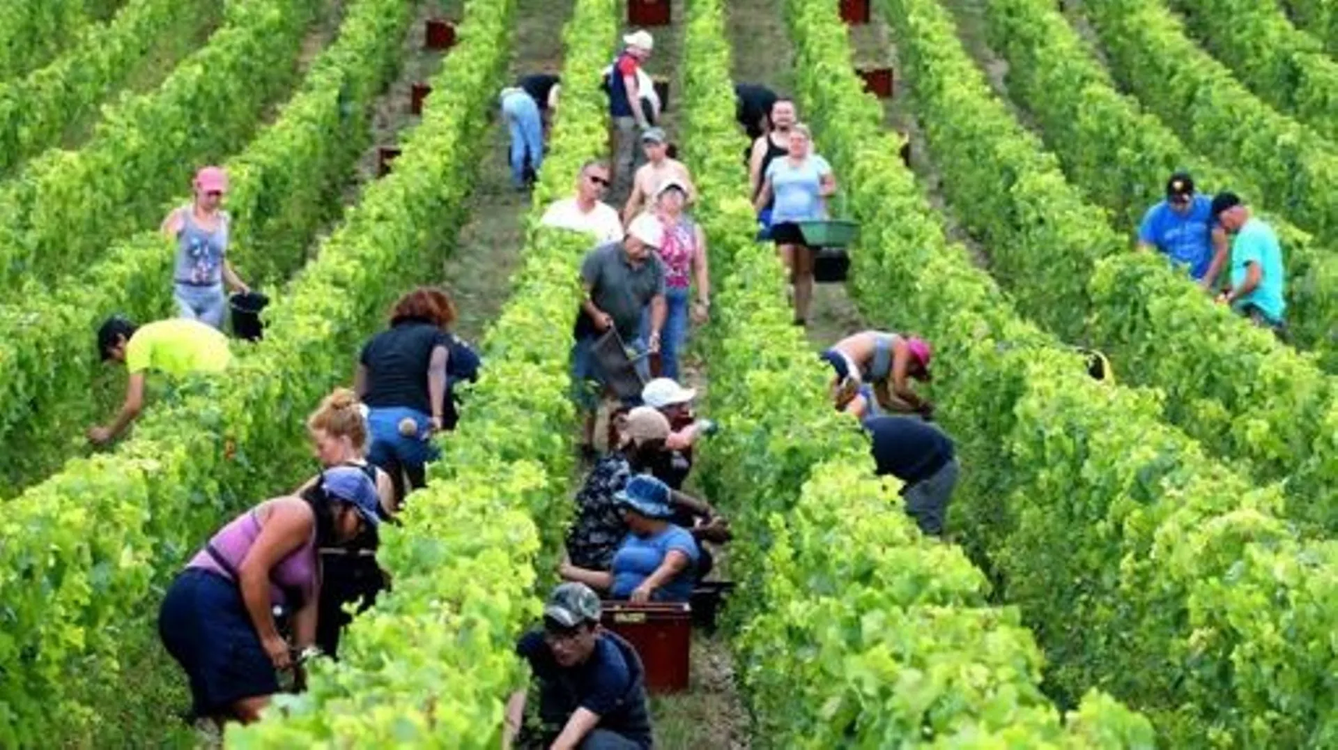 Saisons Champenoises Externalisation