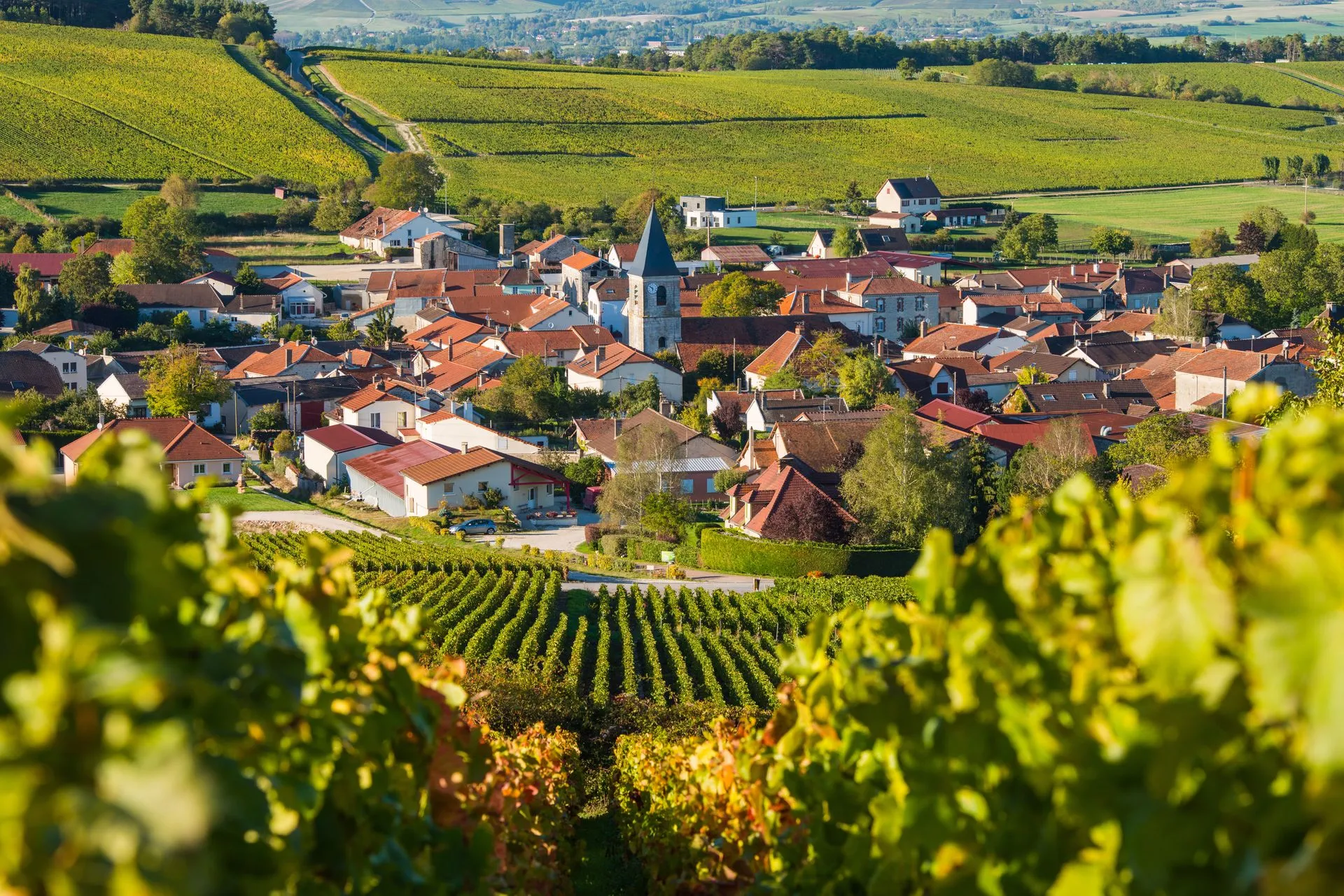 Saisons Champenoises Sécurité